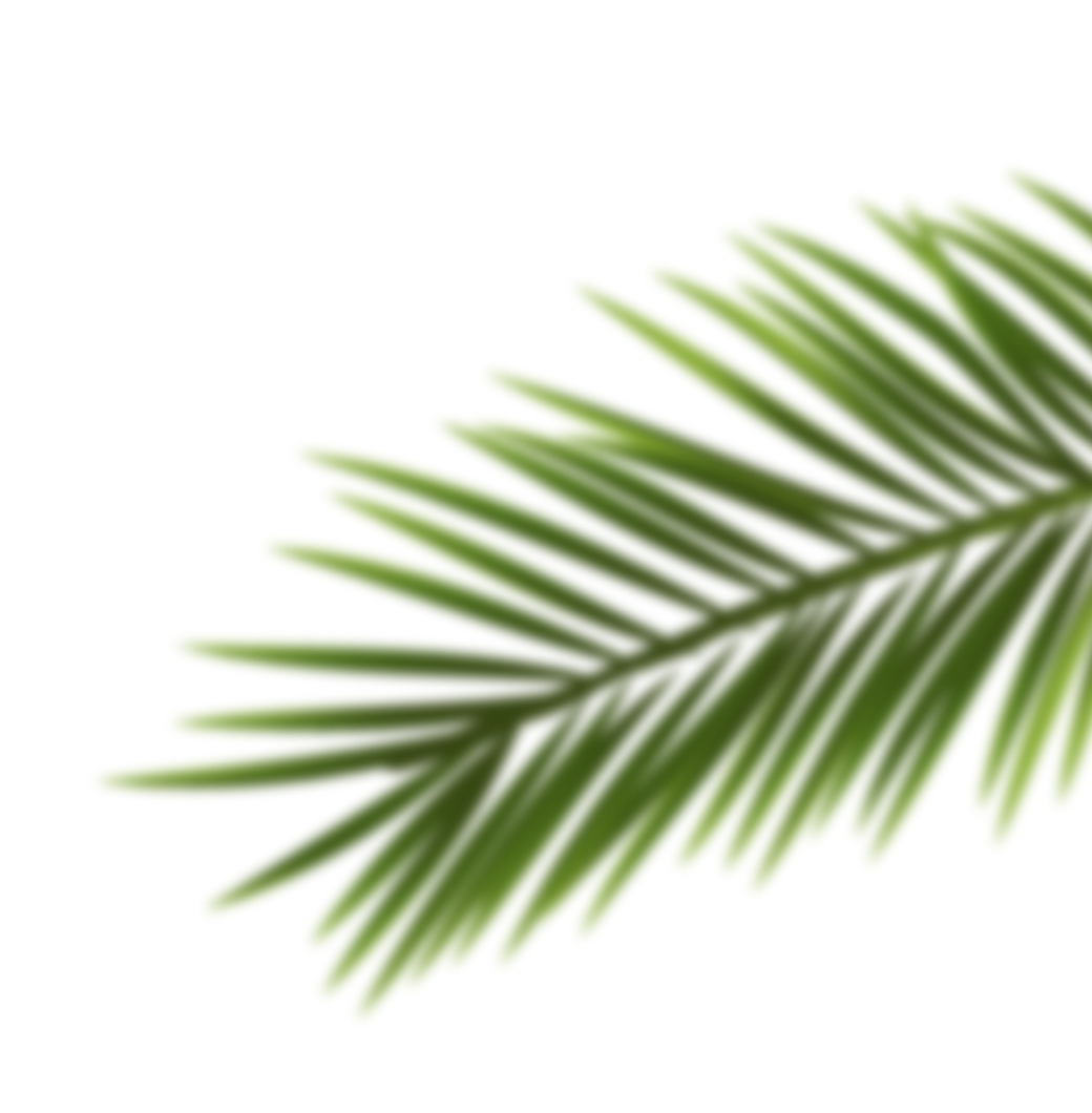 tree-3
