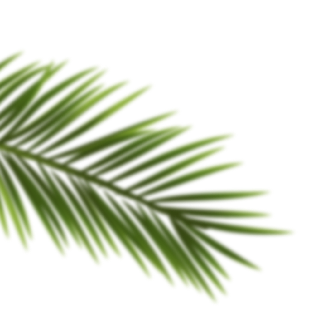 tree-3